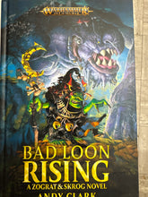 Load image into Gallery viewer, Bad Loon Rising HB
